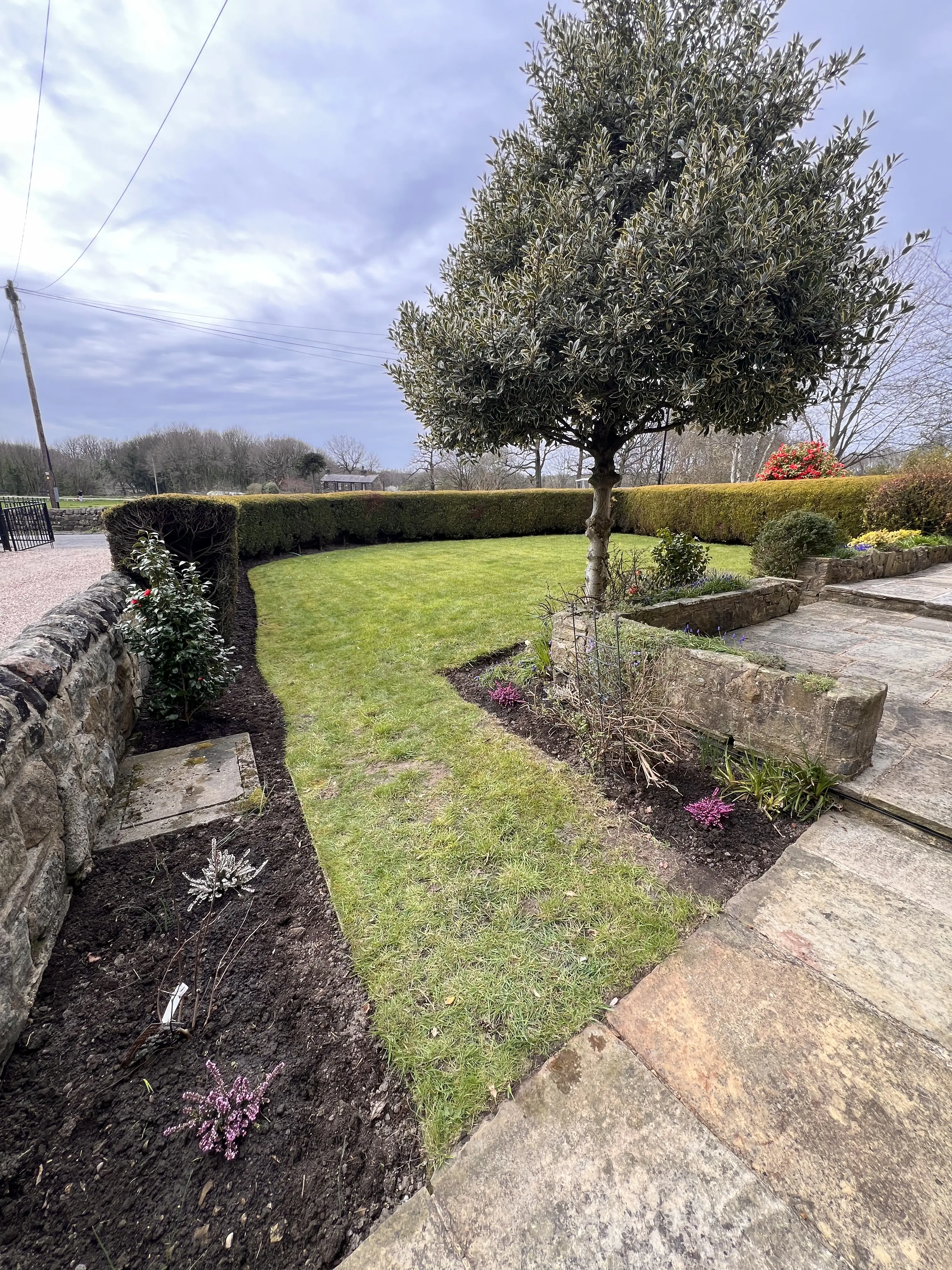 Garden maintenance contract keeping garden tidy year round