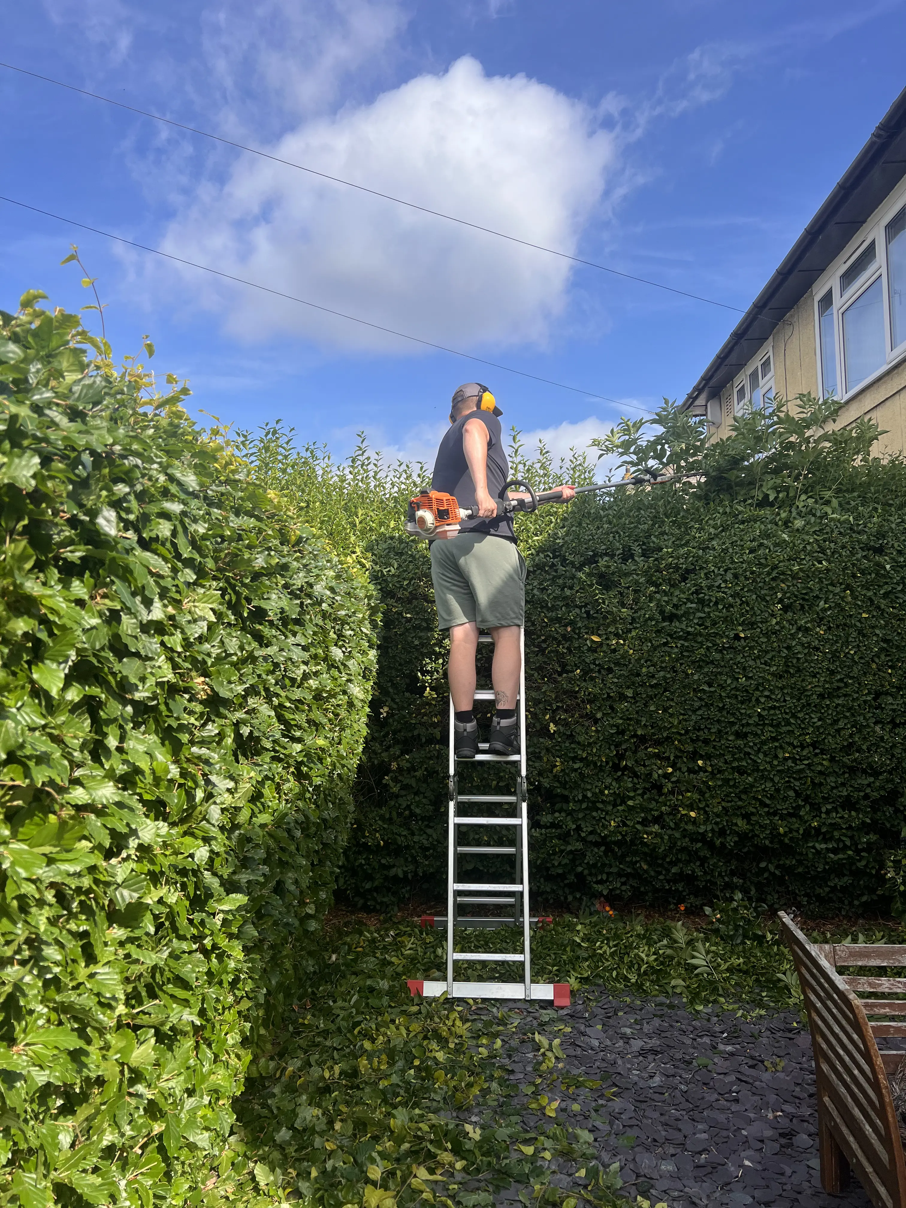 Garden cleared, tidied and hedge professionally cut in North Leeds