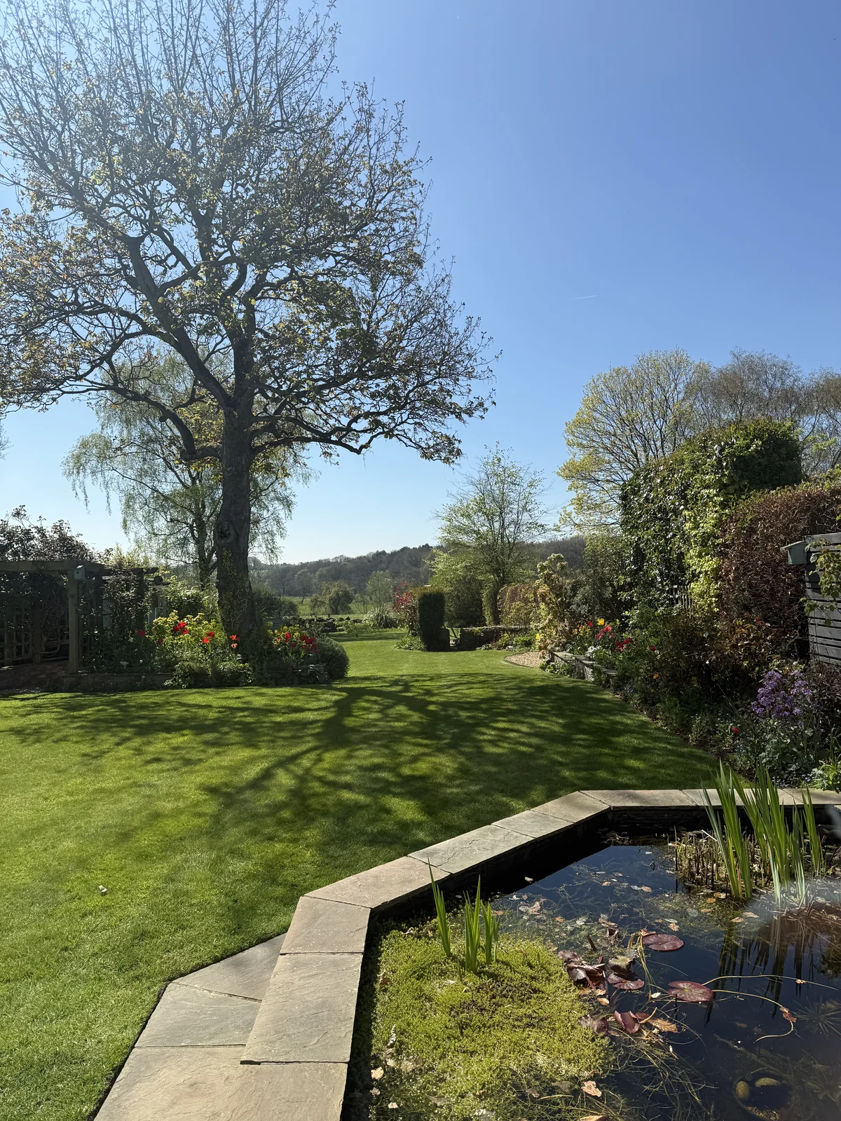 Beautiful garden with pond, striped lawn and colourful borders in North Leeds