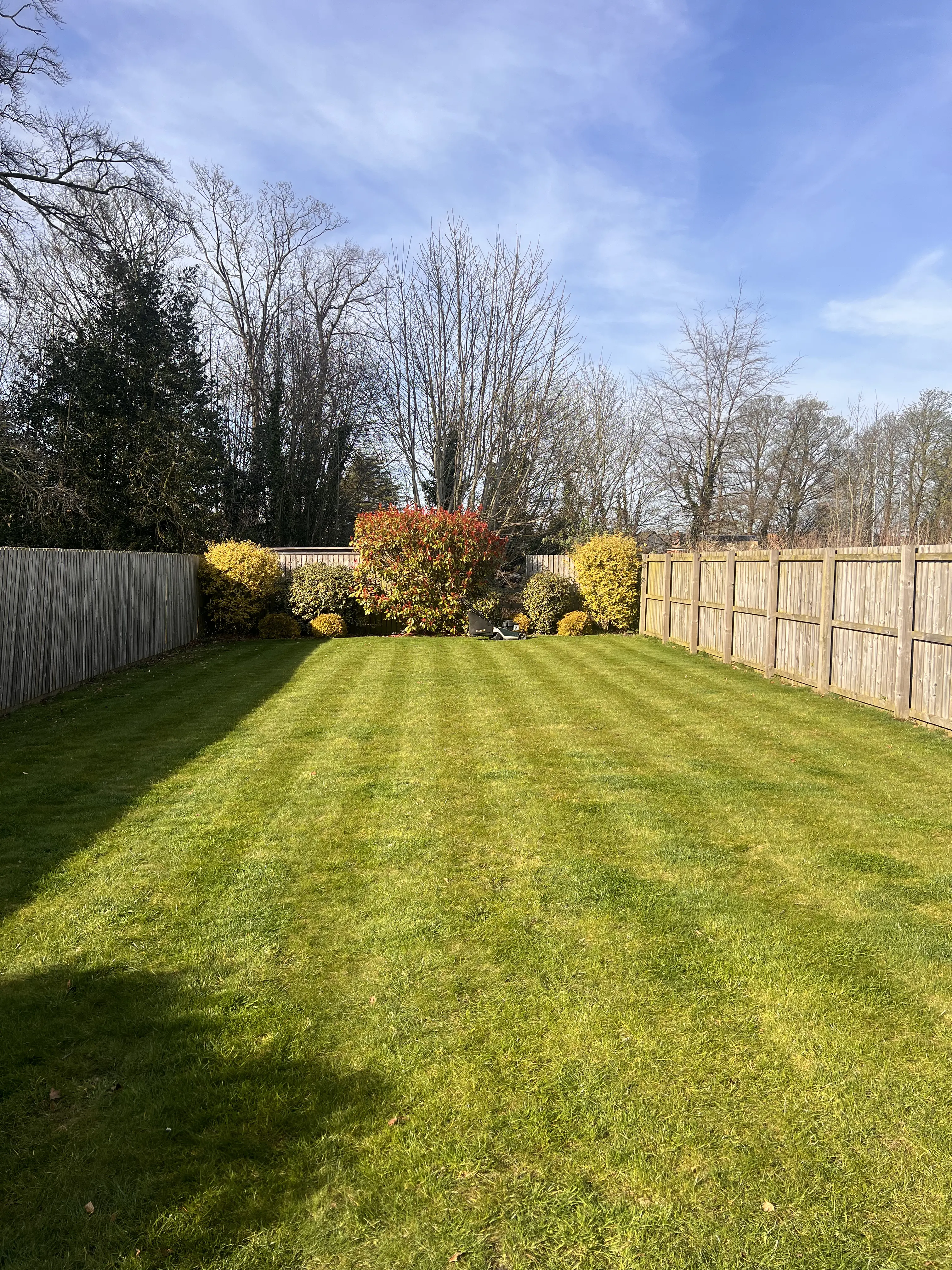 Overgrown garden cleared and tidied in North Leeds